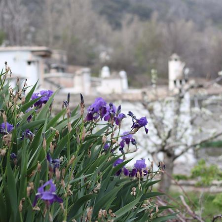 Willa Casa Violeta Atalbeitar Zewnętrze zdjęcie